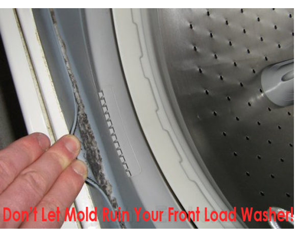 mold in washer